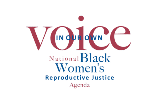 Logo reading ‘In Our Own Voice: National Black Women’s Reproductive Justice Agenda’ in red and blue text on a black background.